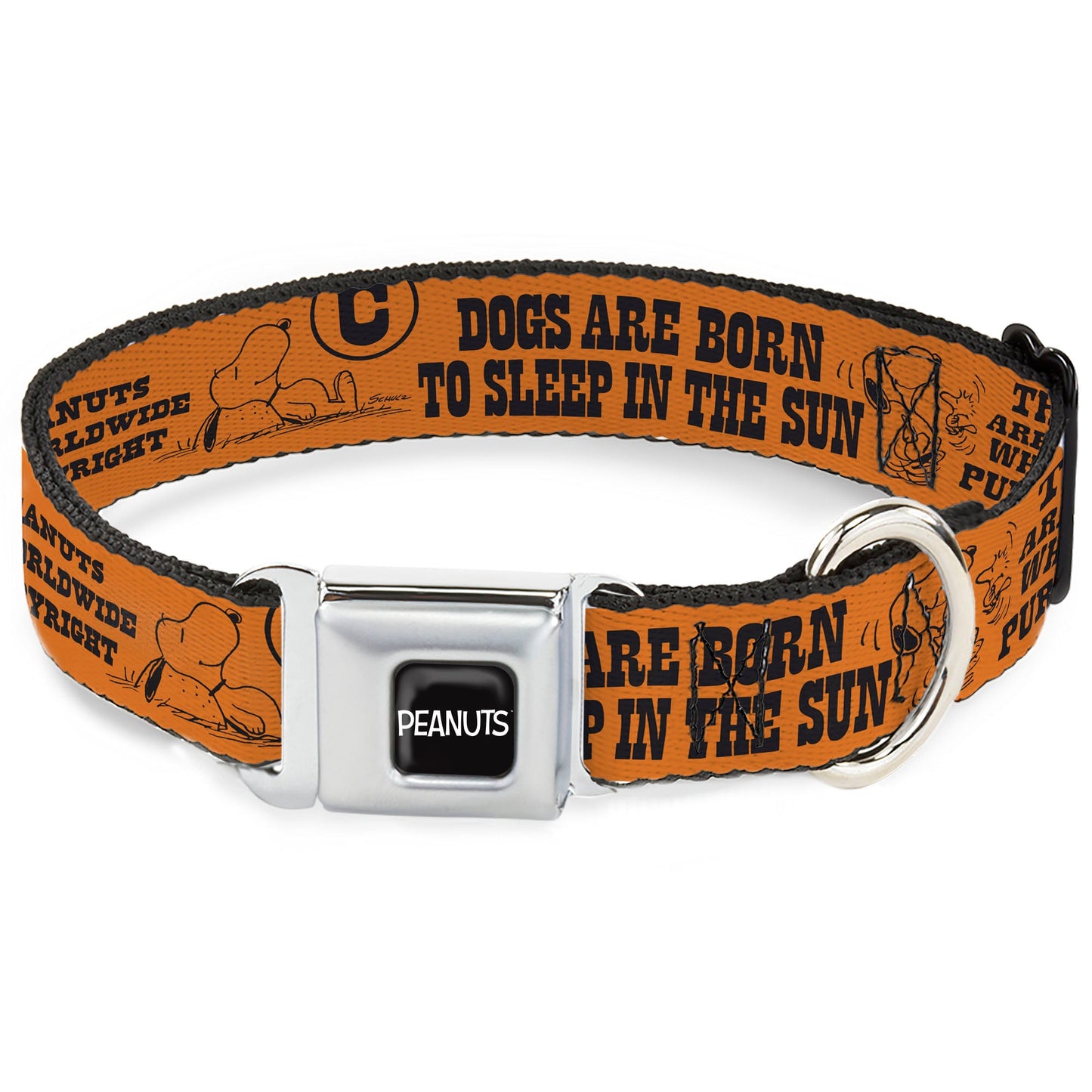 Dog Collar: Snoopy Poses & Quotes Seatbelt Buckle Collar | The Peanuts Store
