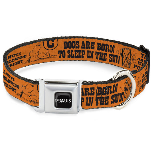 Dog Collar: Snoopy Poses & Quotes Seatbelt Buckle Collar | The Peanuts Store-0