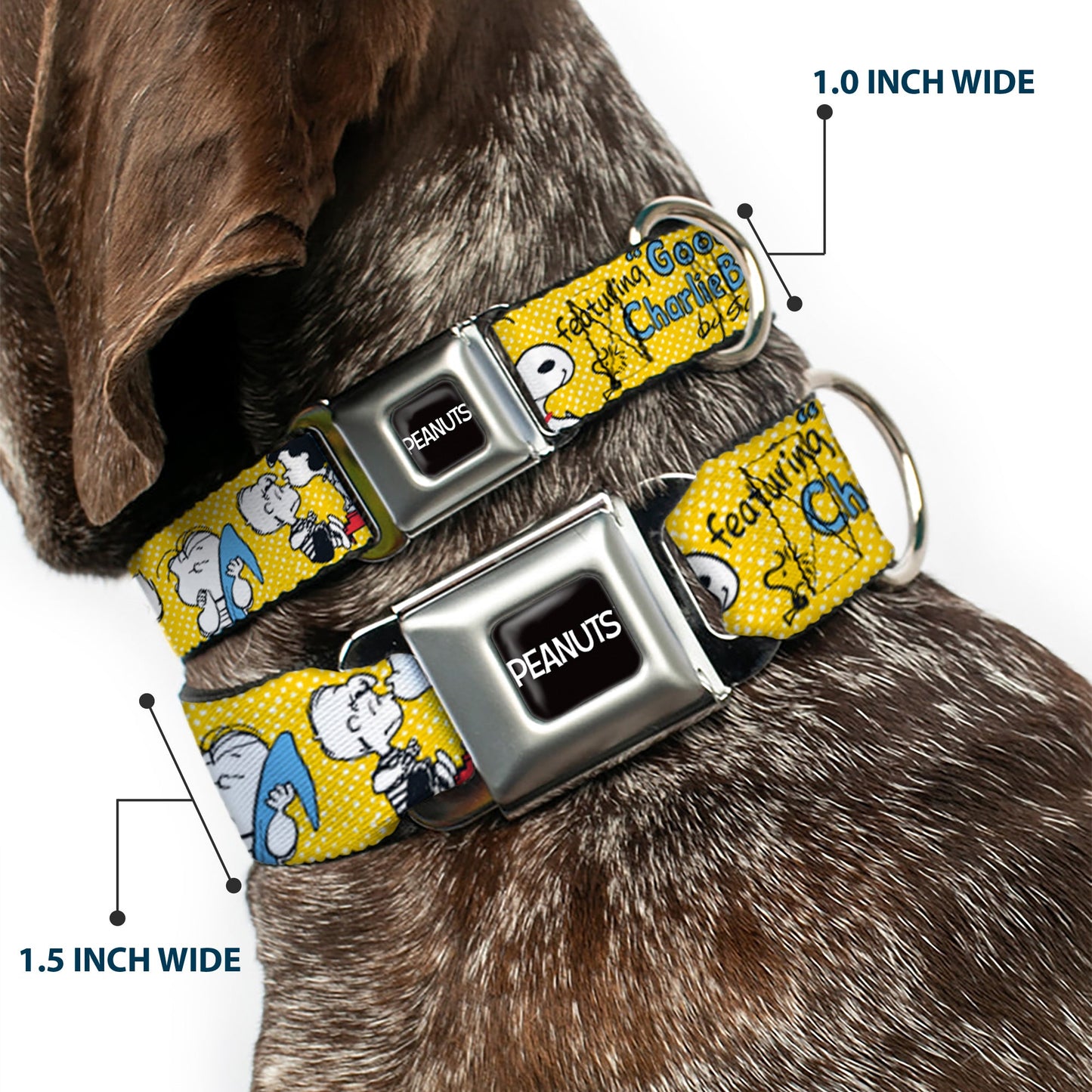 Peanuts dog collar with Charlie Brown seatbelt buckle from The Peanuts Store.