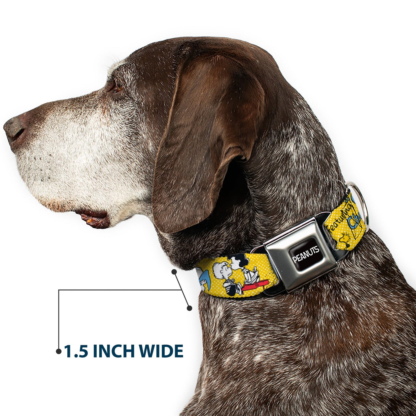 Peanuts dog collar with Charlie Brown seatbelt buckle from The Peanuts Store.