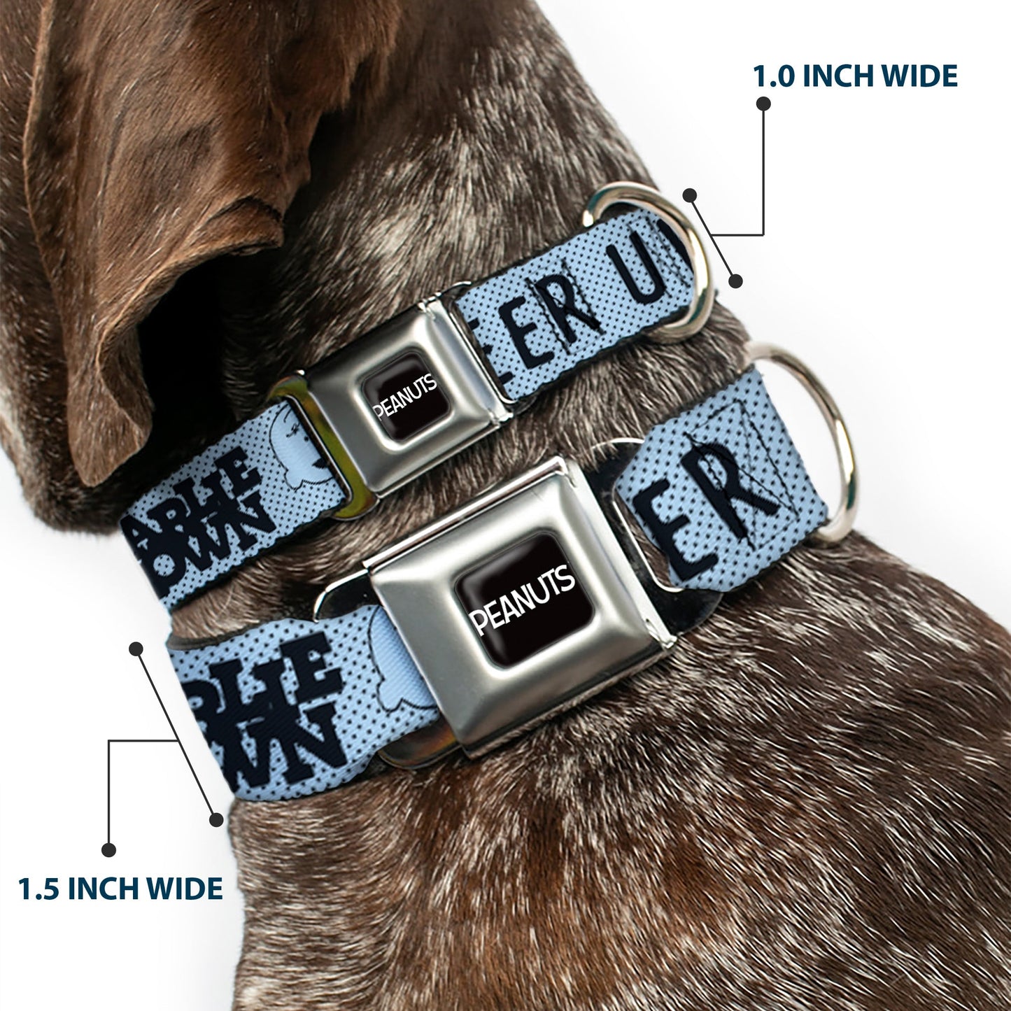 Charlie Brown Poses Seatbelt Buckle Dog Collar | The Peanuts Store