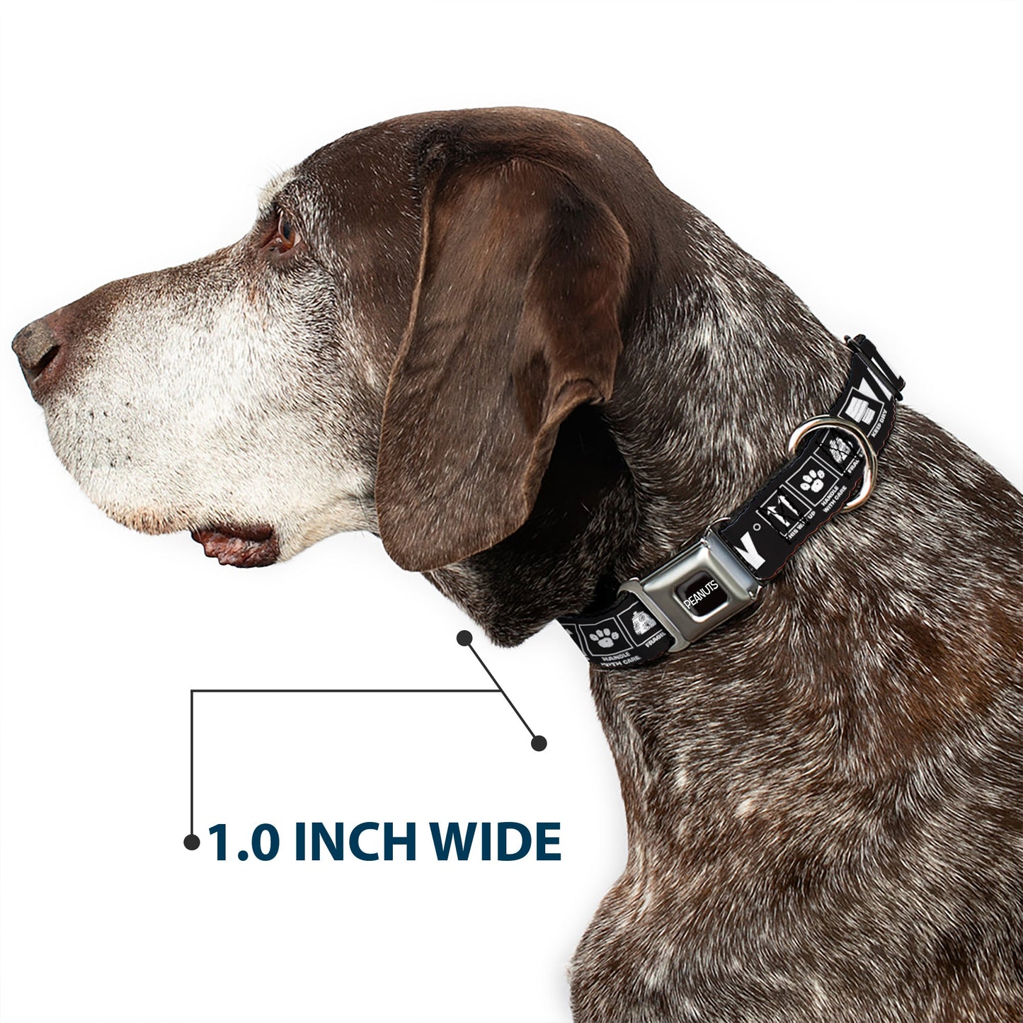 Peanuts Snoopy Title Logo Seatbelt Dog Collar