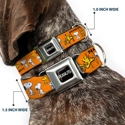Seatbelt Buckle Dog Collar - Peanuts Snoopy & Woodstock Art-7