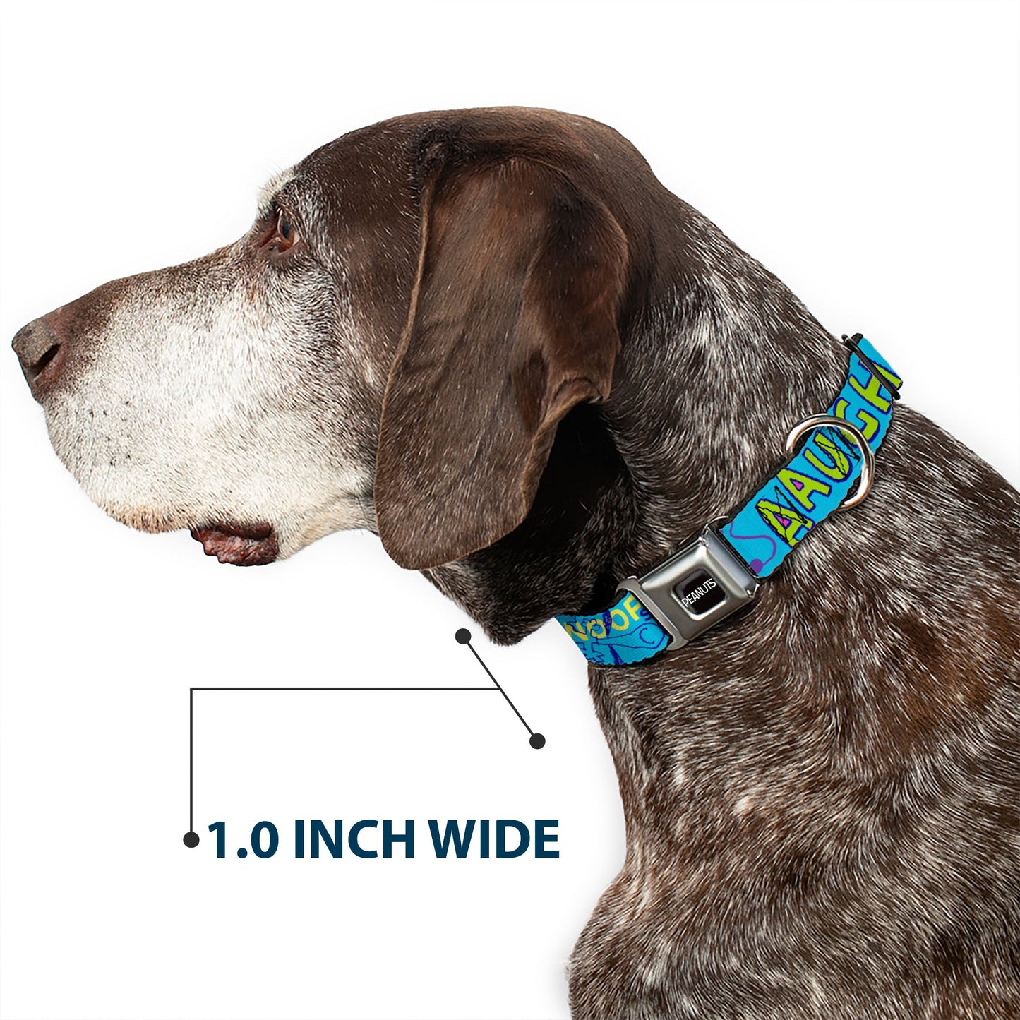 Dog Collar: Peanuts Title Logo Seatbelt Buckle
