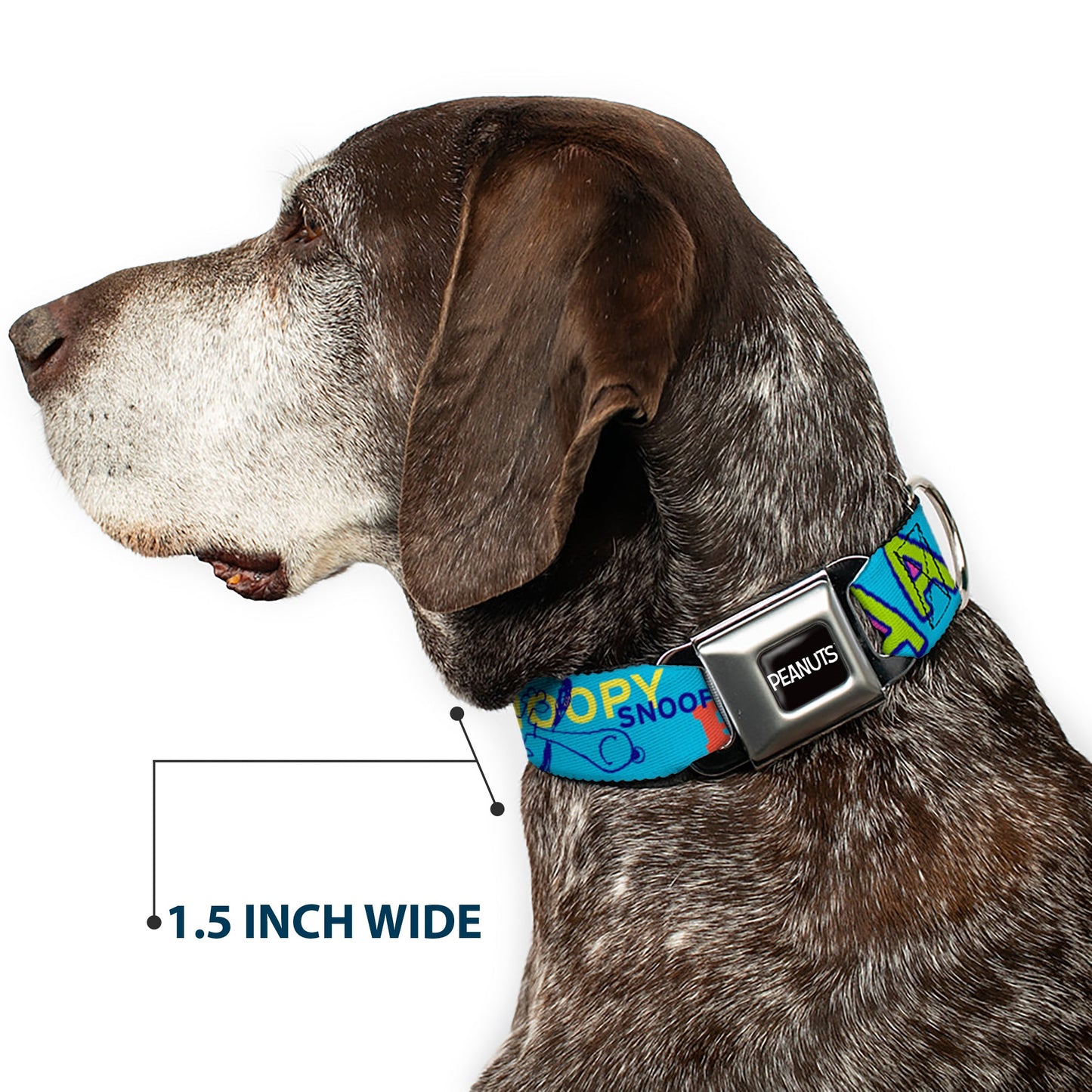 Dog Collar: Peanuts Title Logo Seatbelt Buckle