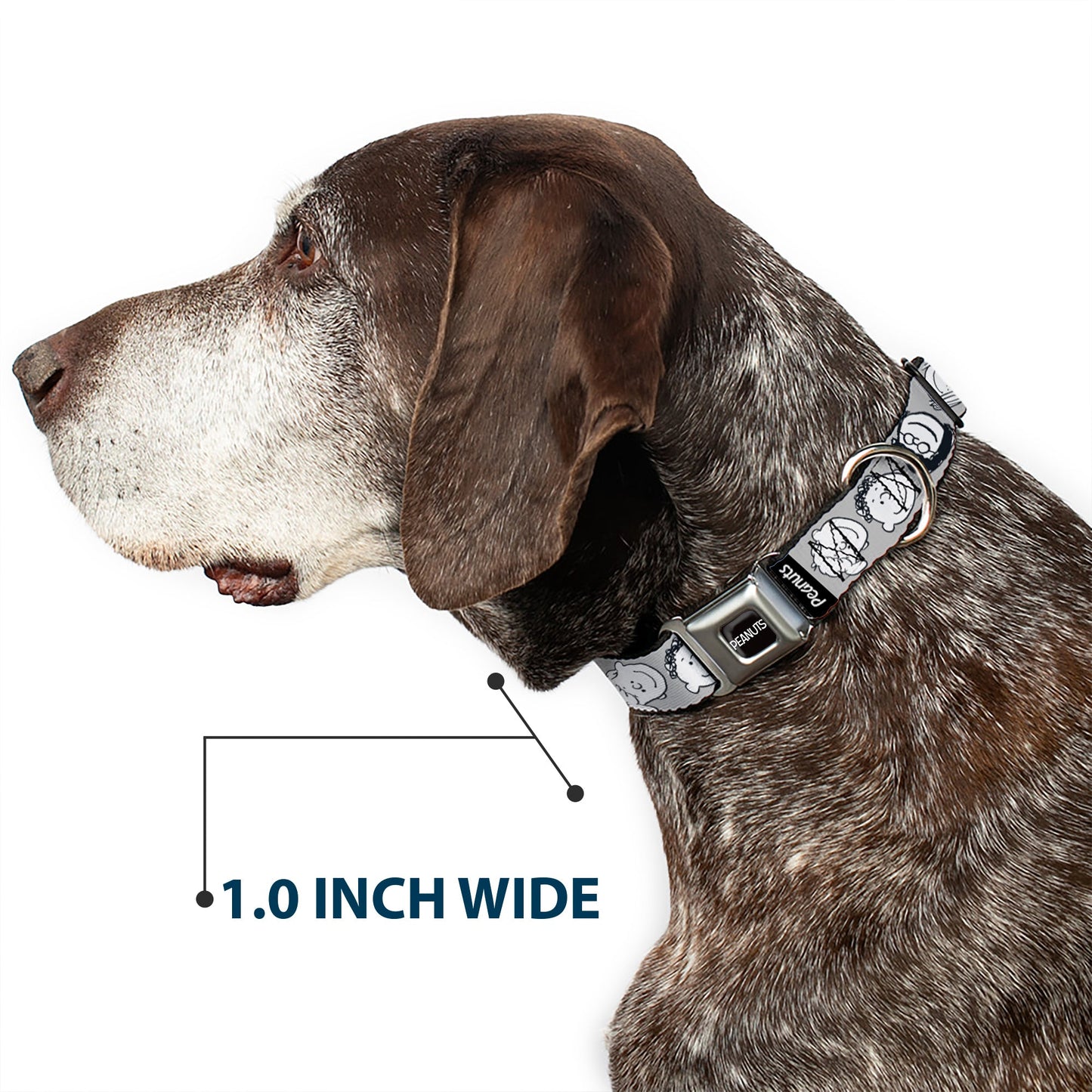 Peanuts Dog Collar: Seatbelt Buckle Peanuts Gang Expressions | The Peanuts Store
