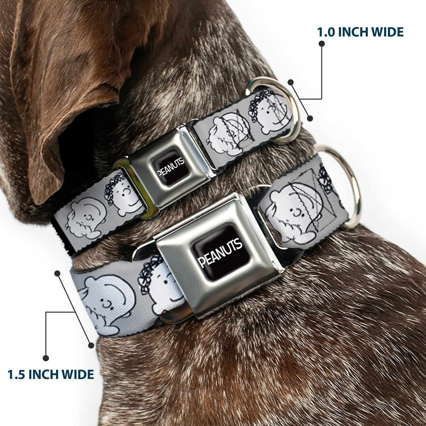 Peanuts Dog Collar: Seatbelt Buckle Peanuts Gang Expressions | The Peanuts Store