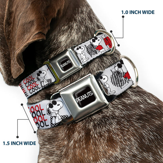 Peanuts Joe Cool Snoopy Seatbelt Buckle Dog Collar-1