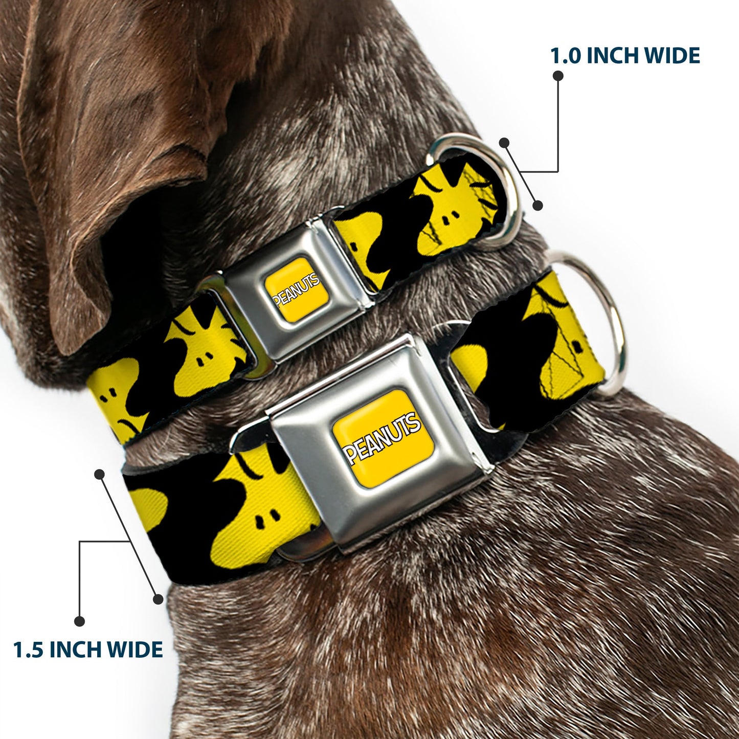 Peanuts Dog Collar: Seatbelt Buckle with Woodstock Fun.