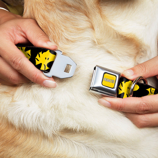 Peanuts Dog Collar: Seatbelt Buckle with Woodstock Fun.-7