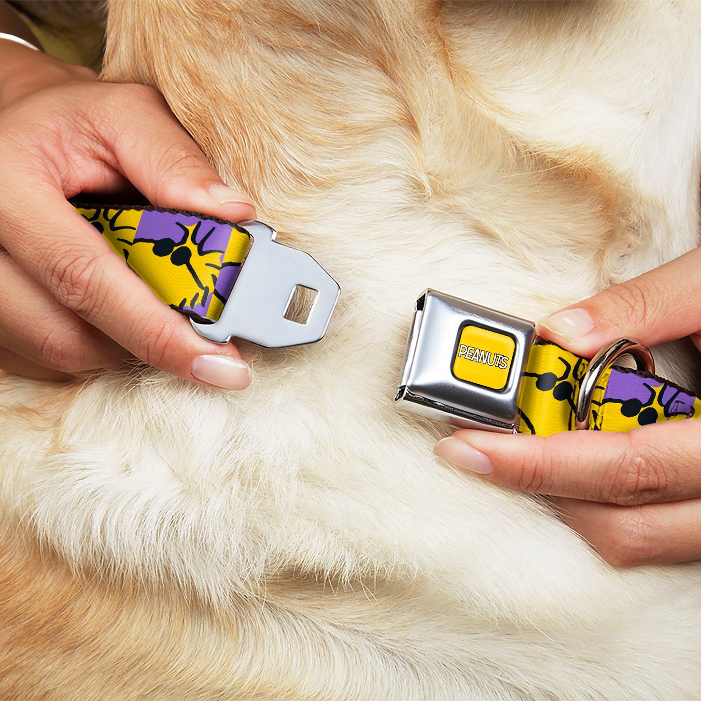 Peanuts Dog Collar with Title Logo Seatbelt Buckle