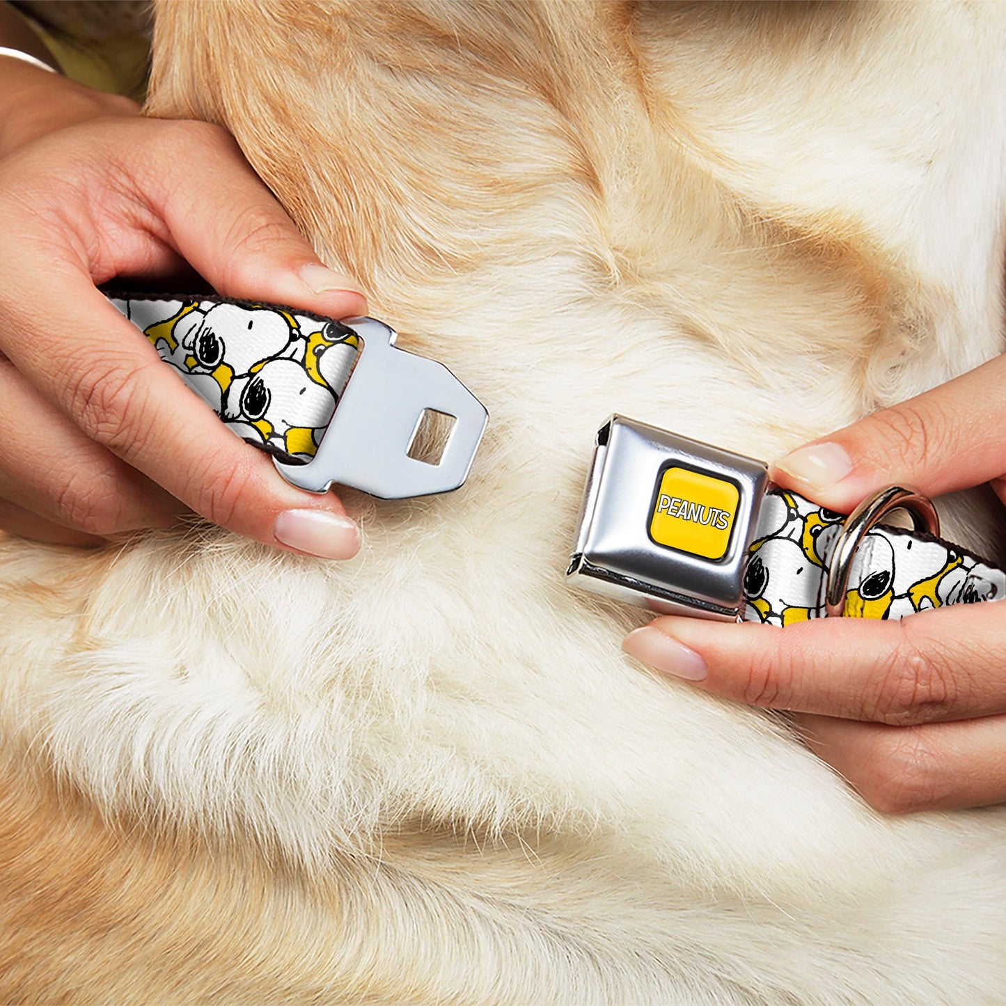Peanuts Snoopy Pose Stacked Dog Collar