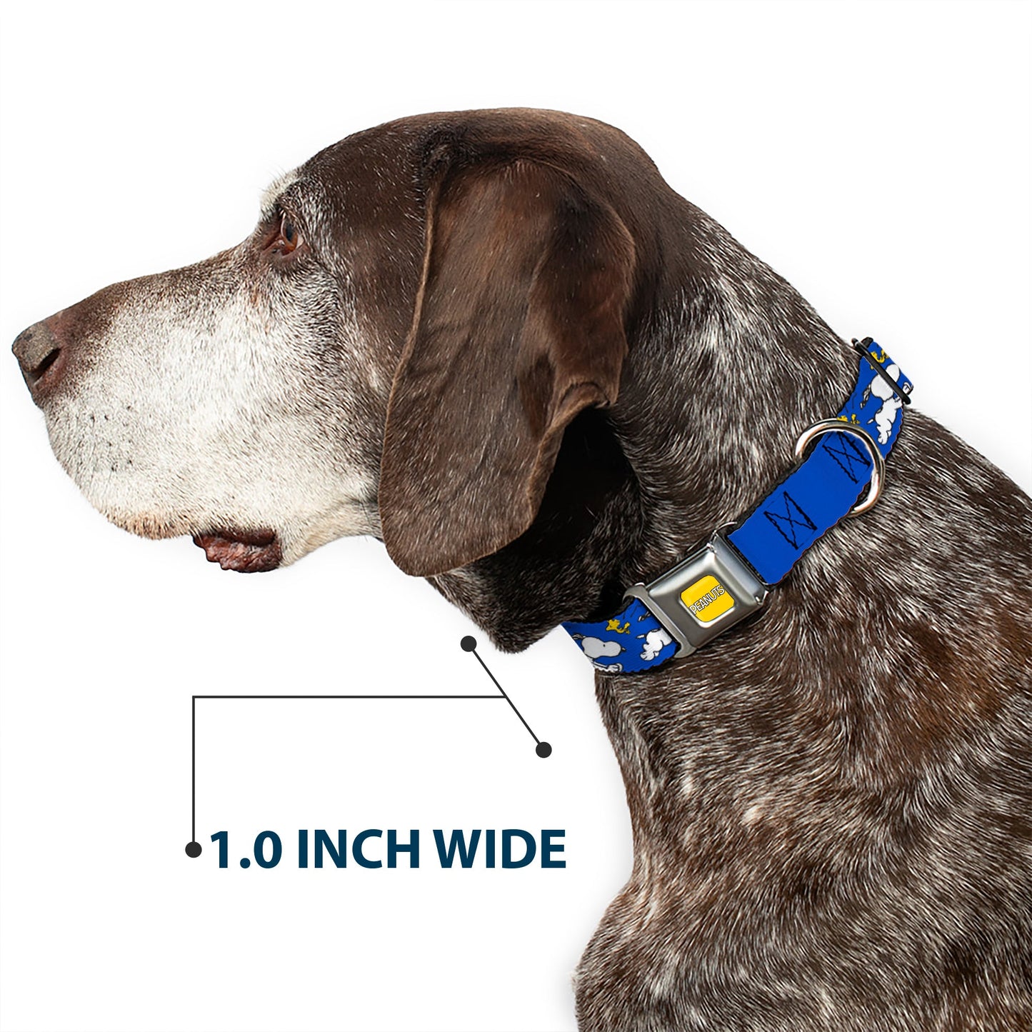 Dog Collar: Snoopy Woodstock Blue Seatbelt Design