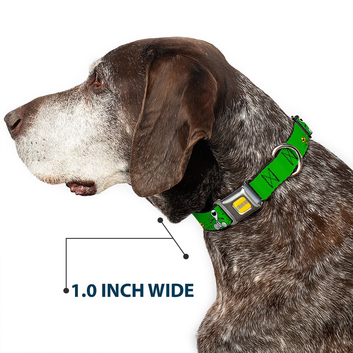 Snoopy & Woodstock Laughing Seatbelt Dog Collar