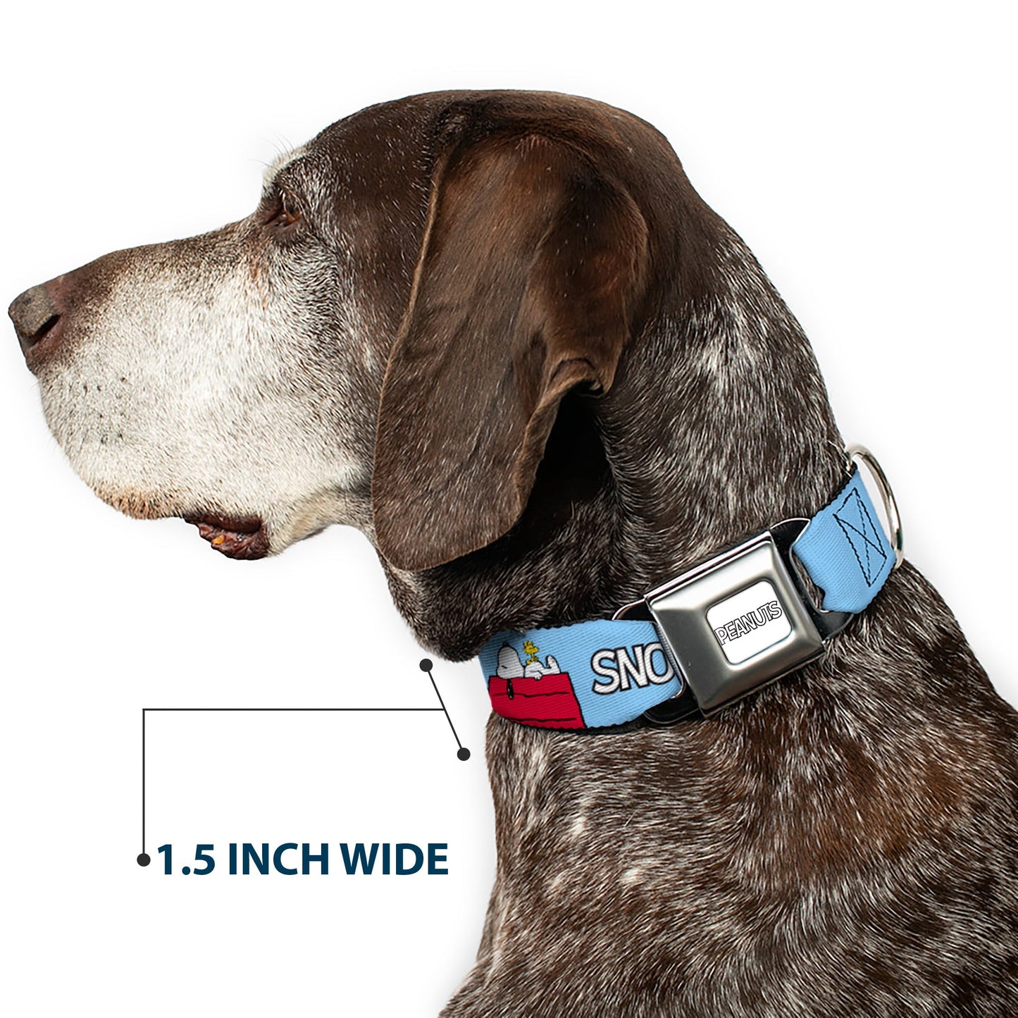 Snoopy & Woodstock Dog Collar - Sky Blue Design | The Peanuts Store