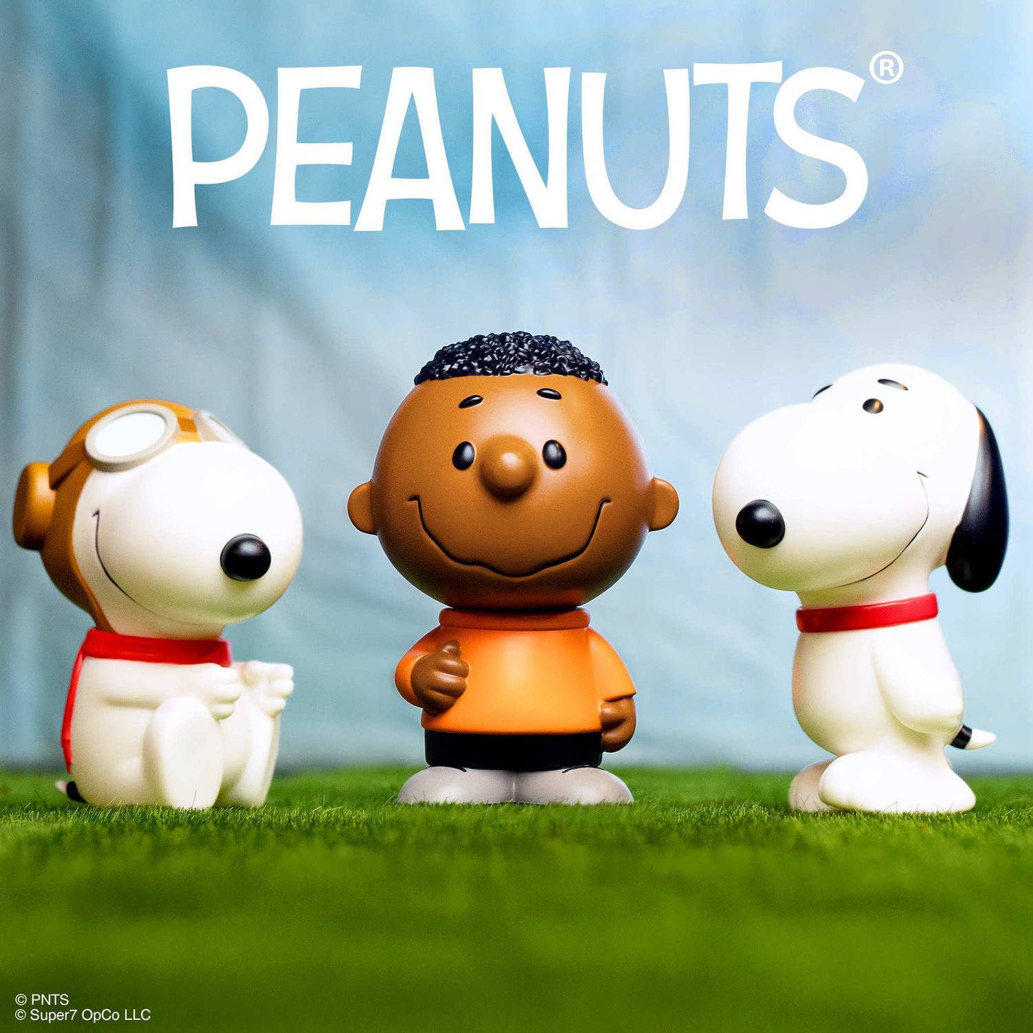 Full view of the Franklin Peanuts collectible toy