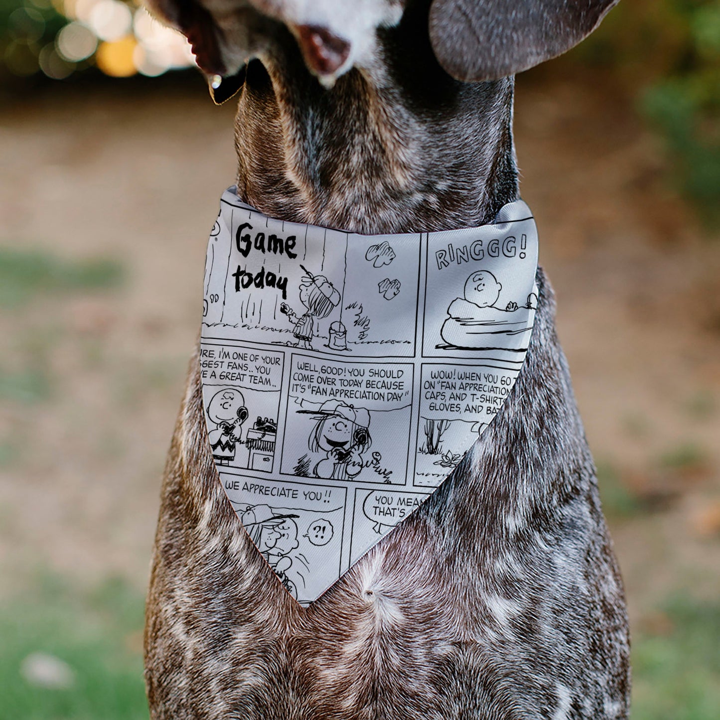 Charlie Brown Comic Pet Bandana