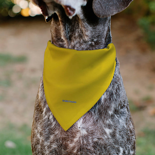 Charlie Brown Zig Zag Dog Bandana | The Peanuts Store-4