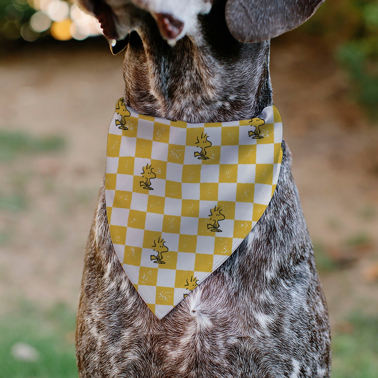 Pet Bandana: Woodstock Slip-On for Dogs | The Peanuts Store