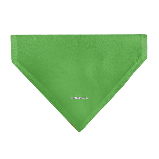 Pet Bandana - Peanuts Gang Group Pose Green-1