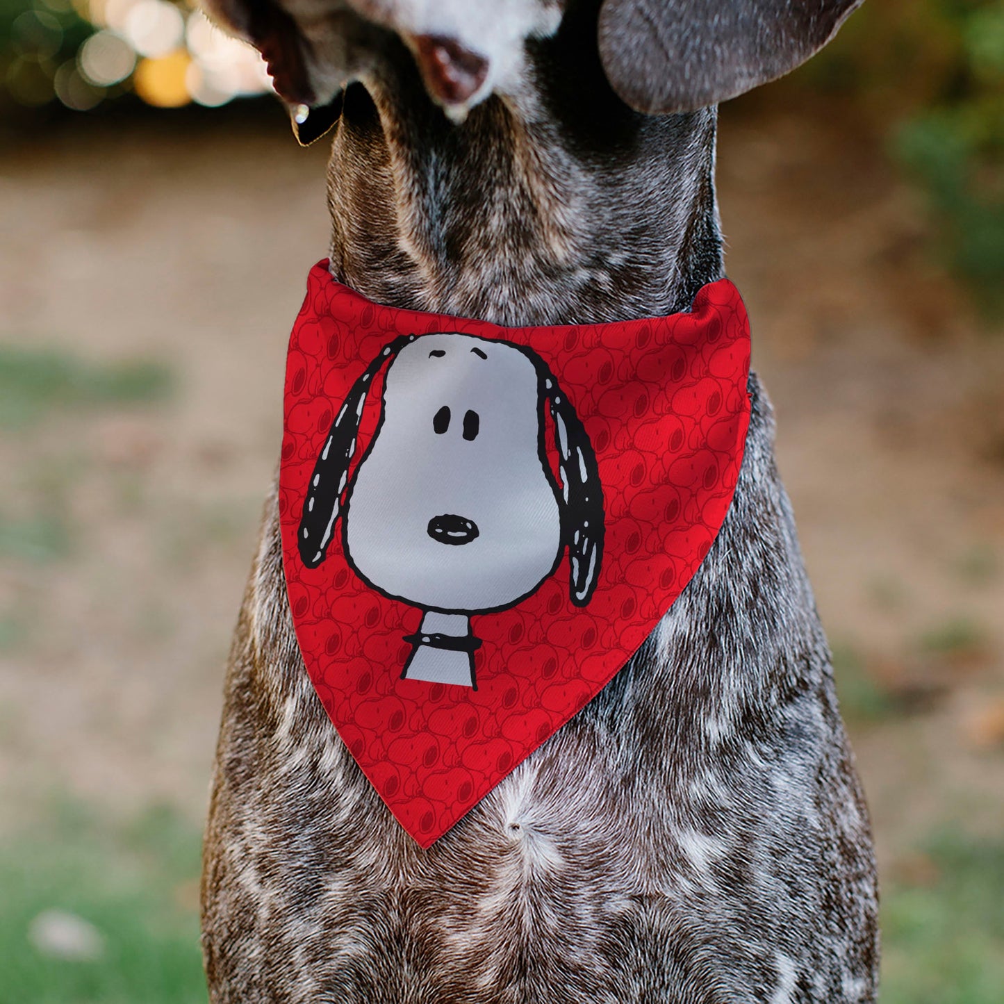 Snoopy Pet Bandana - Over-Collar Style