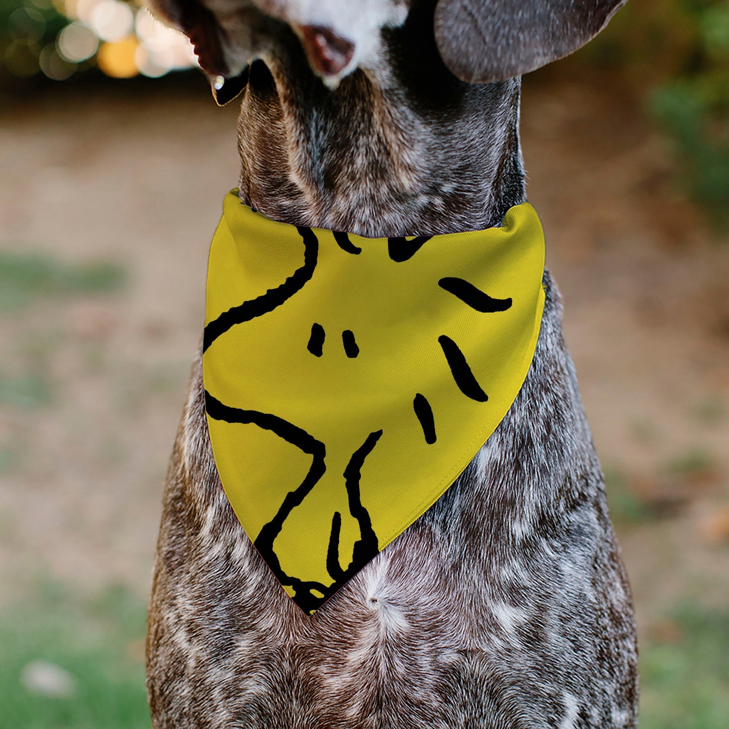 Woodstock Pose Yellow Pet Bandana