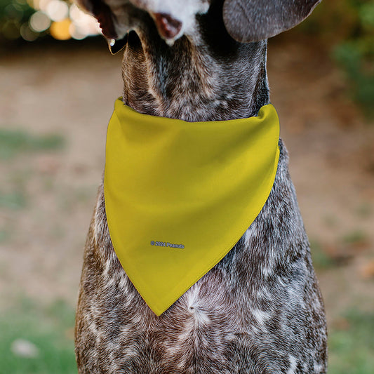 Woodstock Pose Yellow Pet Bandana-4