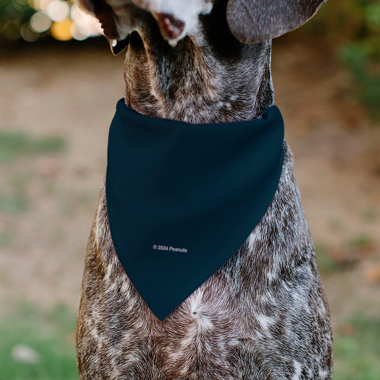 Pet Bandana: Snoopy Astronaut 'I Need My Space' from The Peanuts Store.-4
