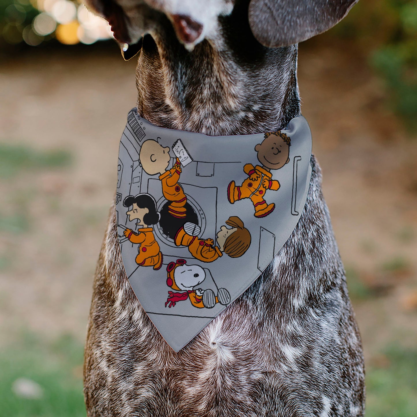 Pet Bandana: Peanuts Astronauts for Dogs