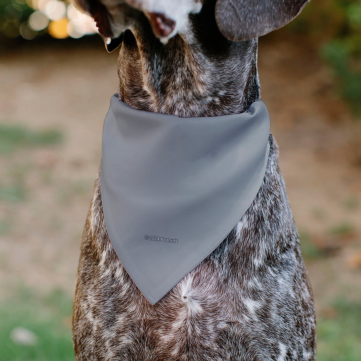 Pet Bandana: Peanuts Astronauts for Dogs