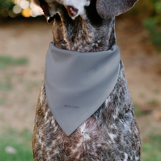 Pet Bandana: Peanuts Astronauts for Dogs-4