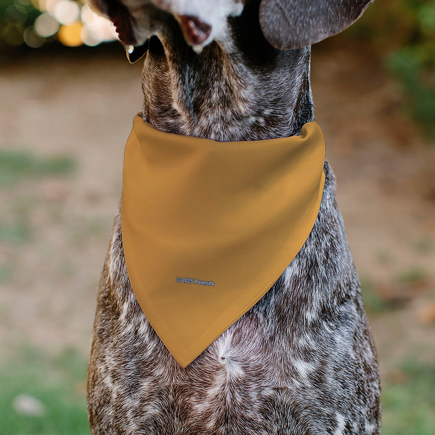 Pet Bandana - Peanuts Marcie Smiling Face Pose Yellow