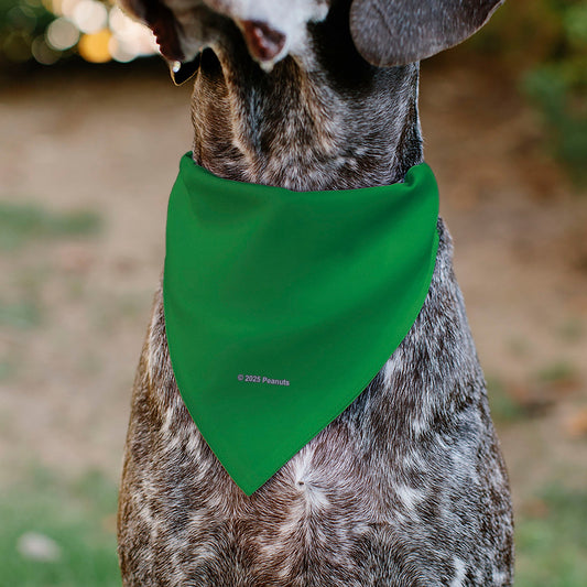 Peanuts Peppermint Patty Smiling Face Green Pet Bandana-4