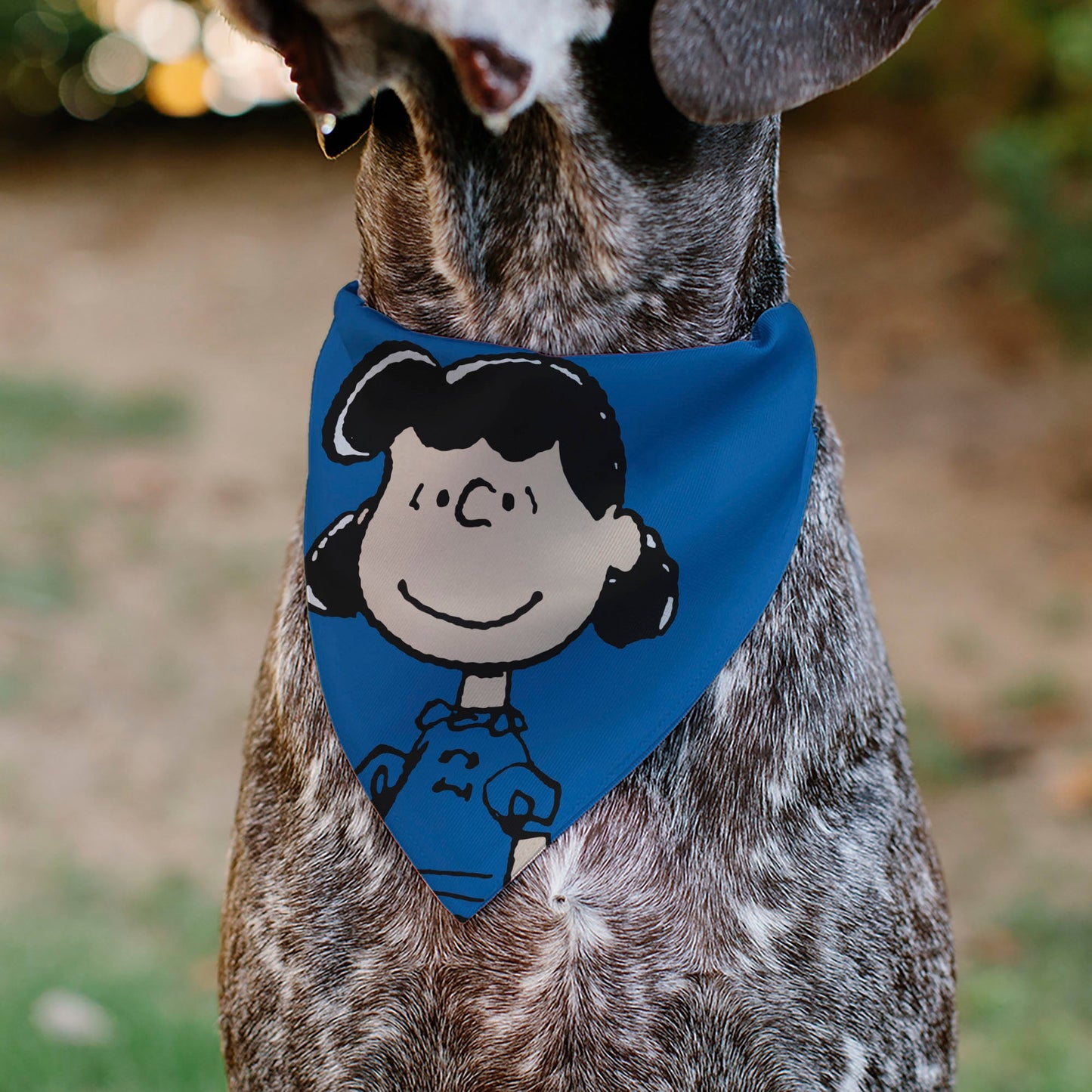 Lucy van Pelt Smiling Pet Bandana, Blue