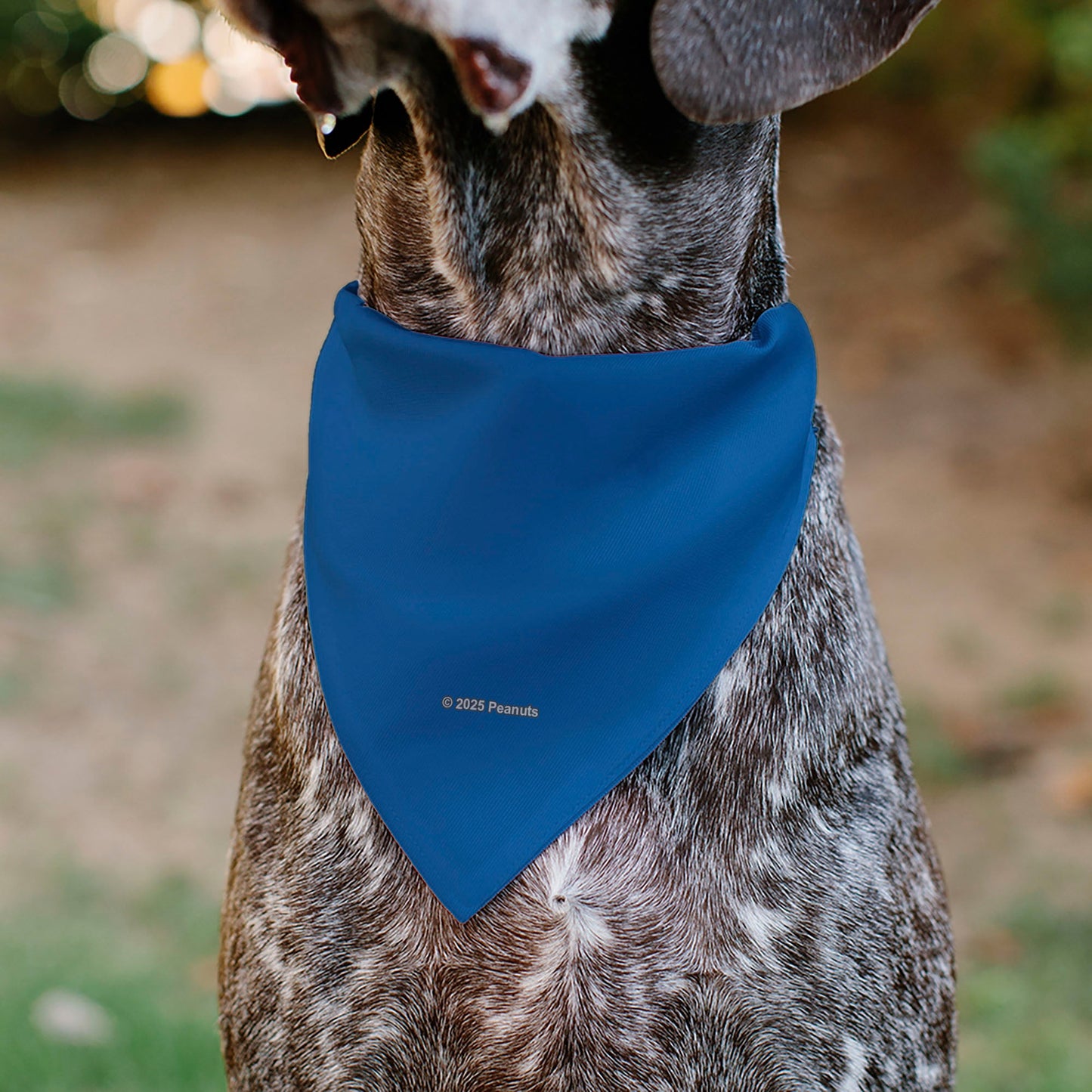Lucy van Pelt Smiling Pet Bandana, Blue