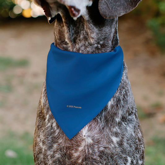 Lucy van Pelt Smiling Pet Bandana, Blue-4