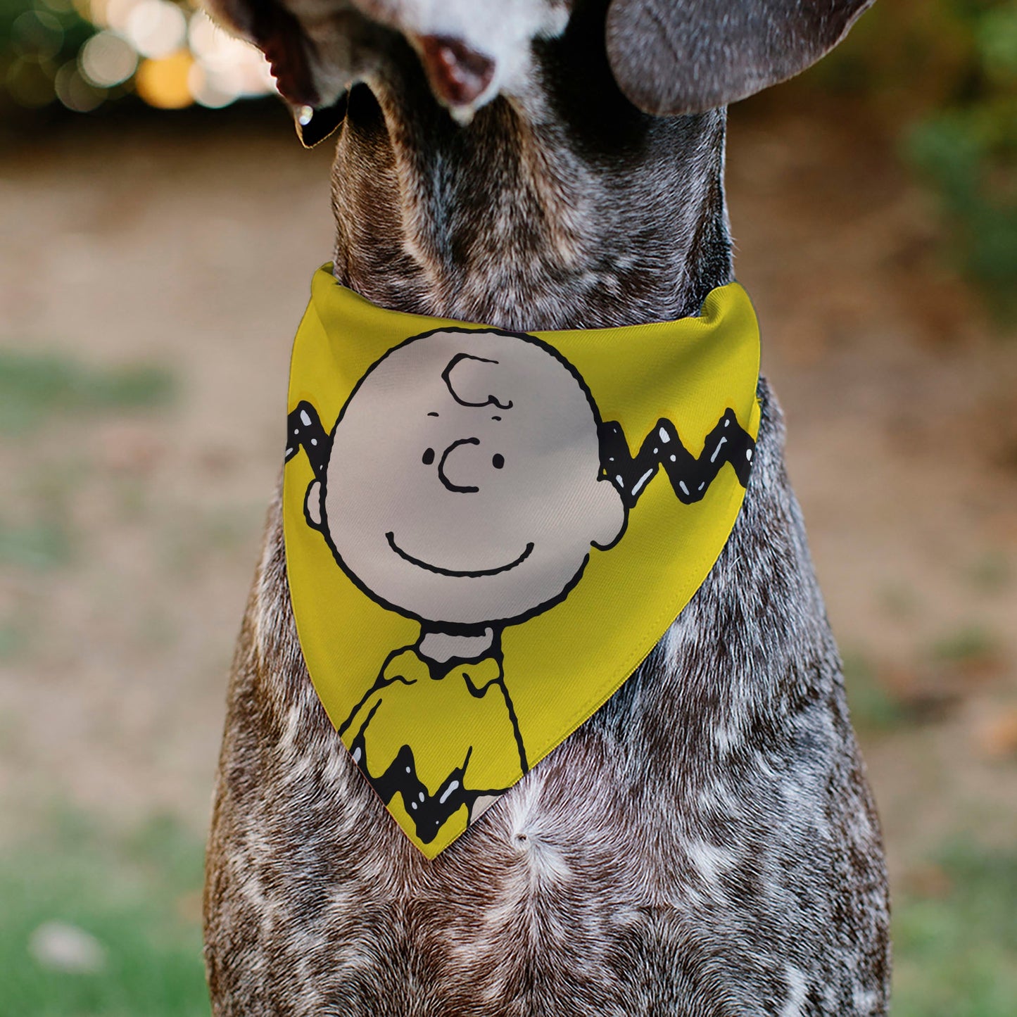 Pet Bandana - Peanuts Charlie Brown Smiling Face