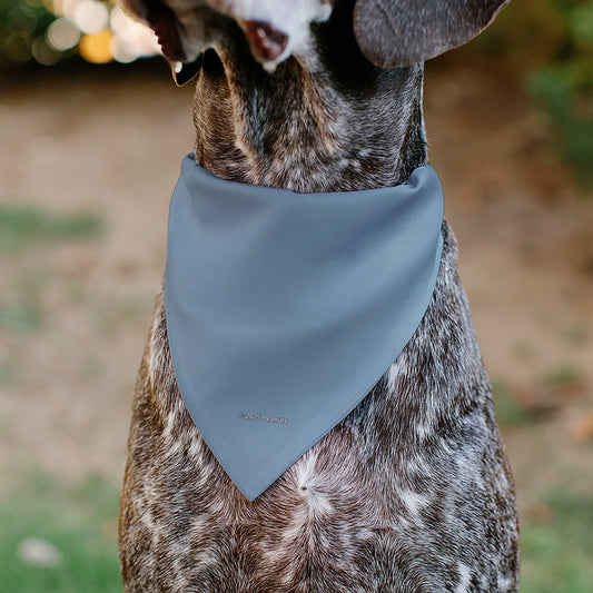 Pet Bandana with Peanuts Snoopy Cowboy Design from The Peanuts Store.-4
