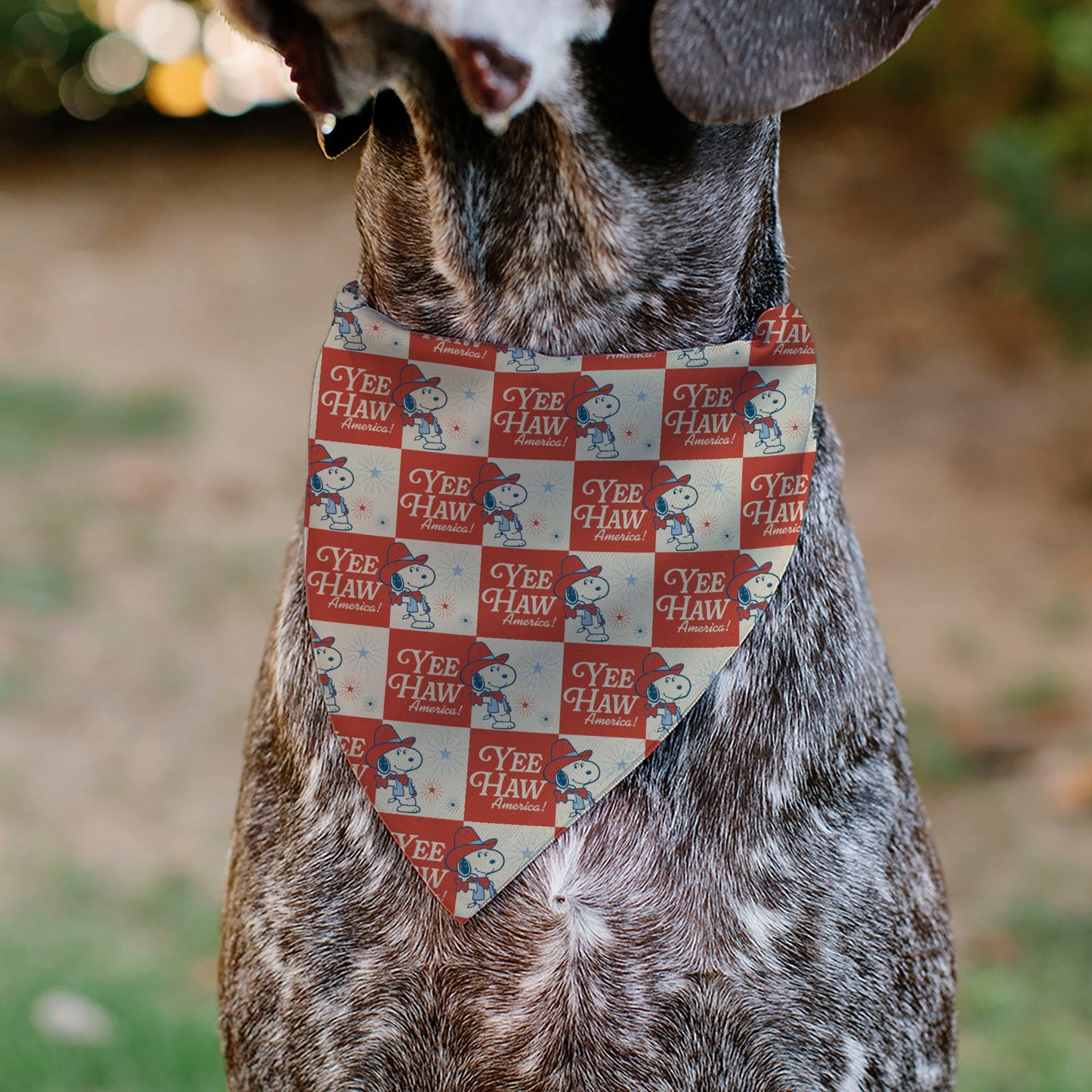 Peanuts Pet Bandana Snoopy Yee Haw America Pose Checker