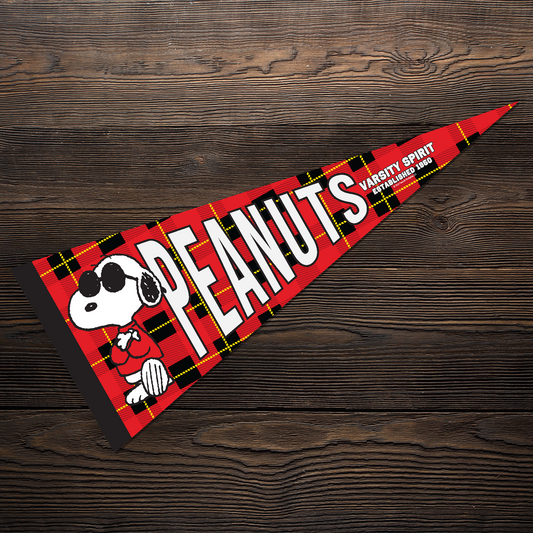 Peanuts Joe Cool Varsity Spirit Pennant Flag White-1