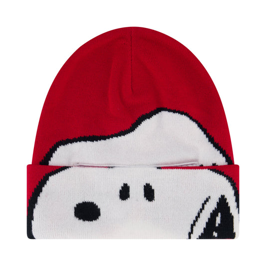 Peanuts Snoopy Beanie Hat, Knit Roll Down Cuffed Winter Cap-1