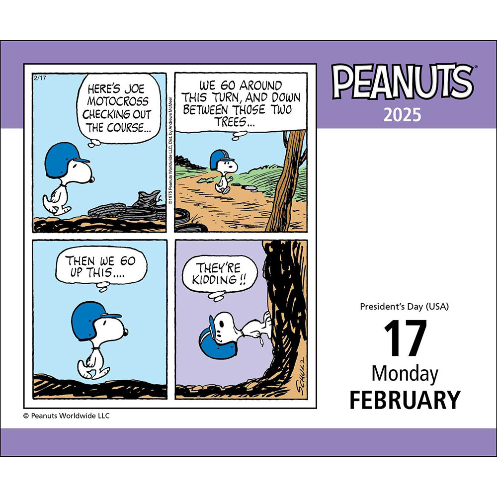 Peanuts 2025 Day-to-Day Calendar