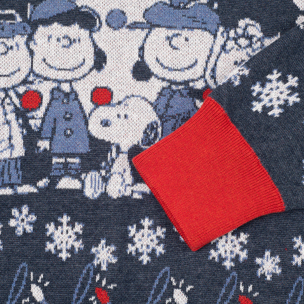 Peanuts Warm Winter Wishes Holiday Sweater