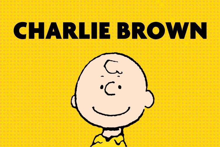 Charlie Brown (Brown/Tan) - Sports bra