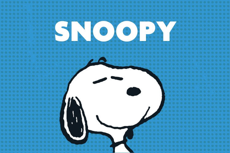 Snoopy – The Peanuts Store