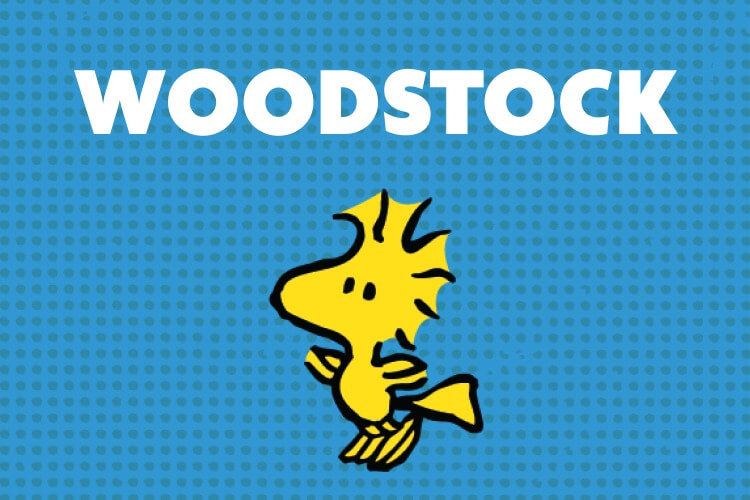 shop-by-show-woodstock-image