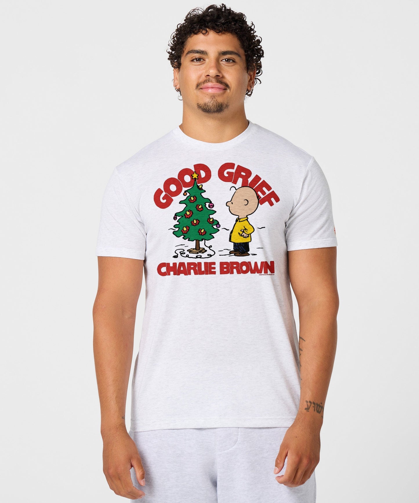 Back view of the ash crew-neck t-shirt showing the blank, solid fabric