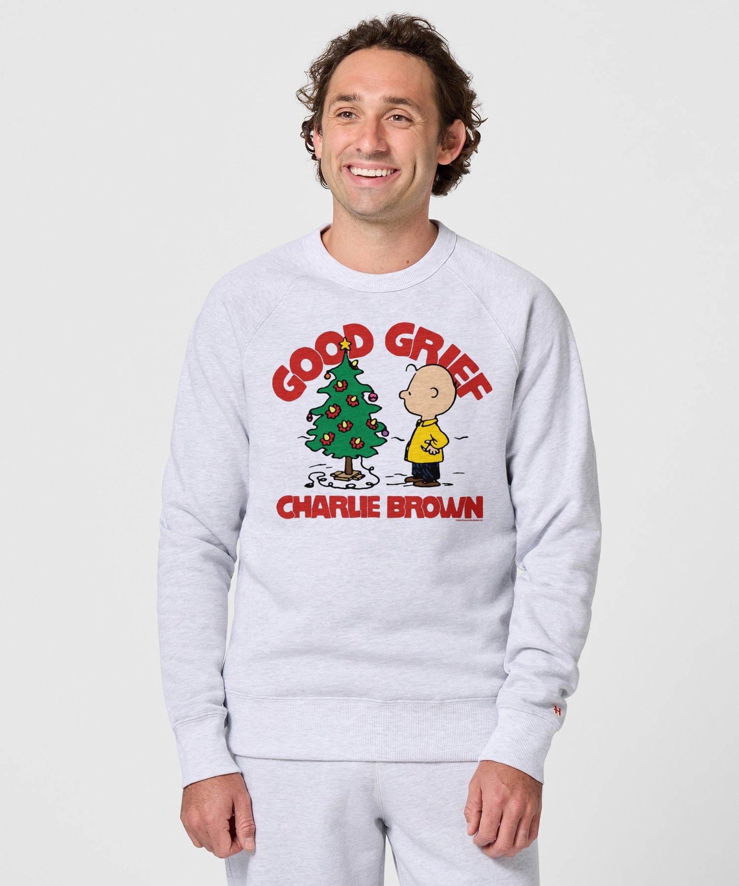 Back view of the ash gray pullover sweatshirt showing the clean, solid fabric construction