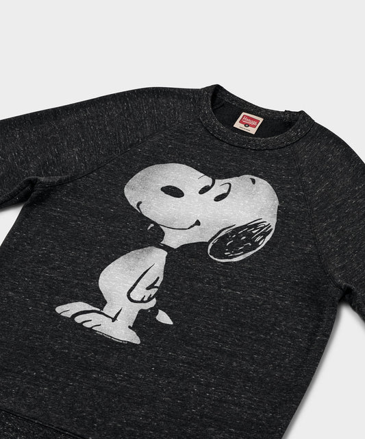Charcoal grey crewneck sweatshirt featuring a large graphic of Snoopy dancing on the front chest-1