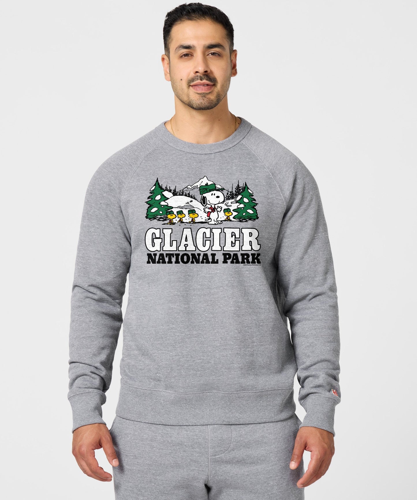 Back view of the gray pullover sweatshirt showing a clean, solid gray fabric construction